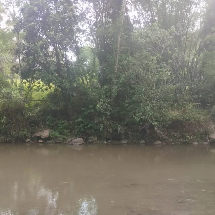 Land in Tegalalang for Lease — photo 4