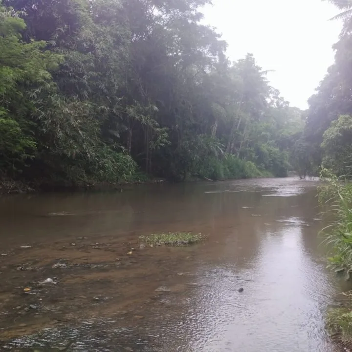 Land in Tegalalang for Lease — photo 5