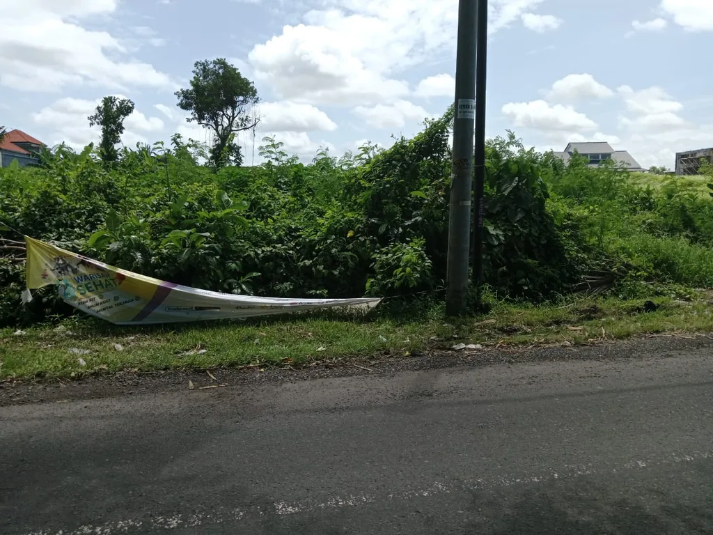 Expansive Land for Sale in Kaba-Kaba — photo 2