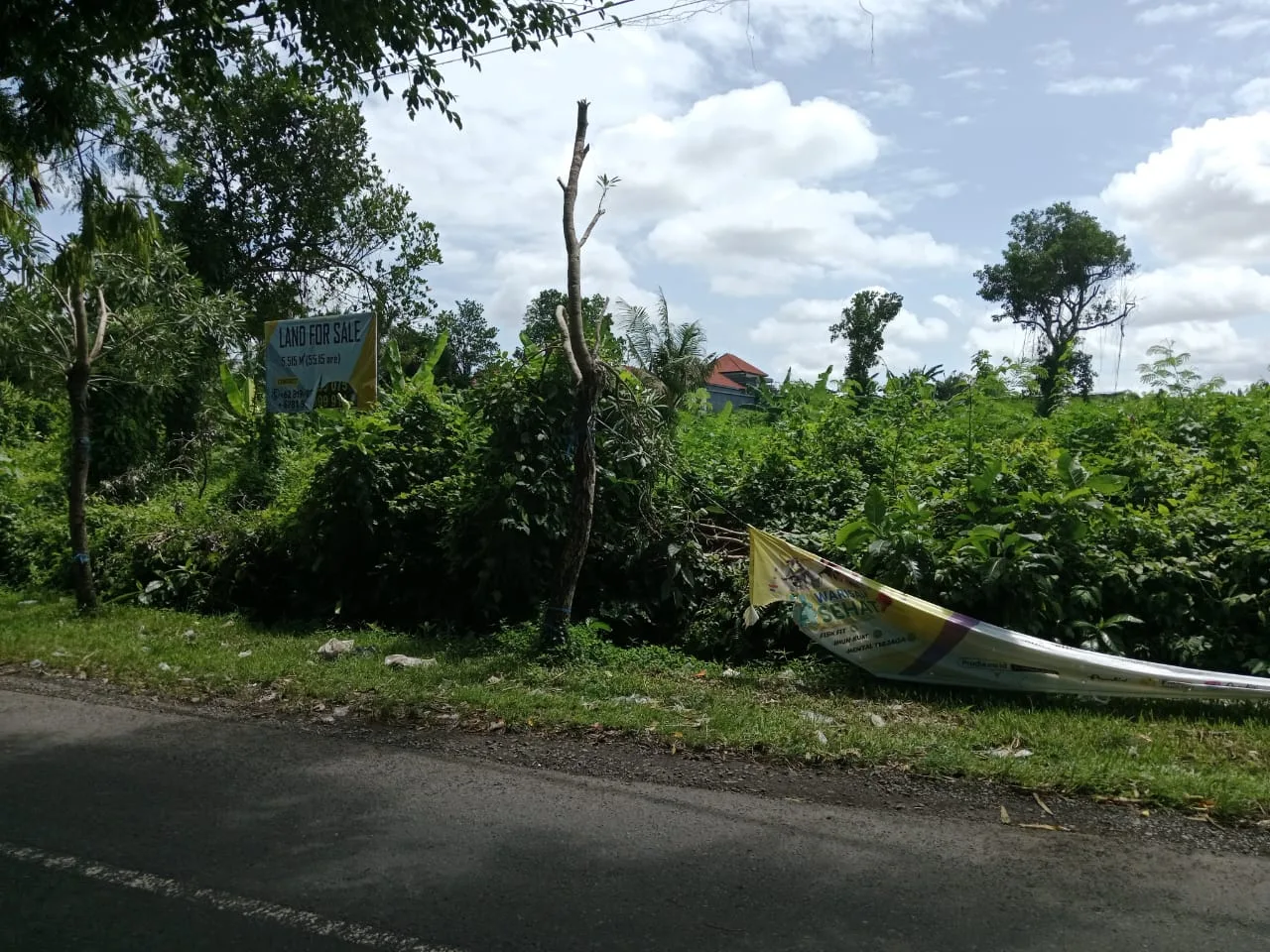 Expansive Land for Sale in Kaba-Kaba