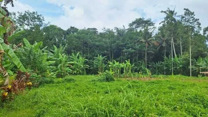 6 Are Freehold Riverside Land in Payangan, Ubud for Sale