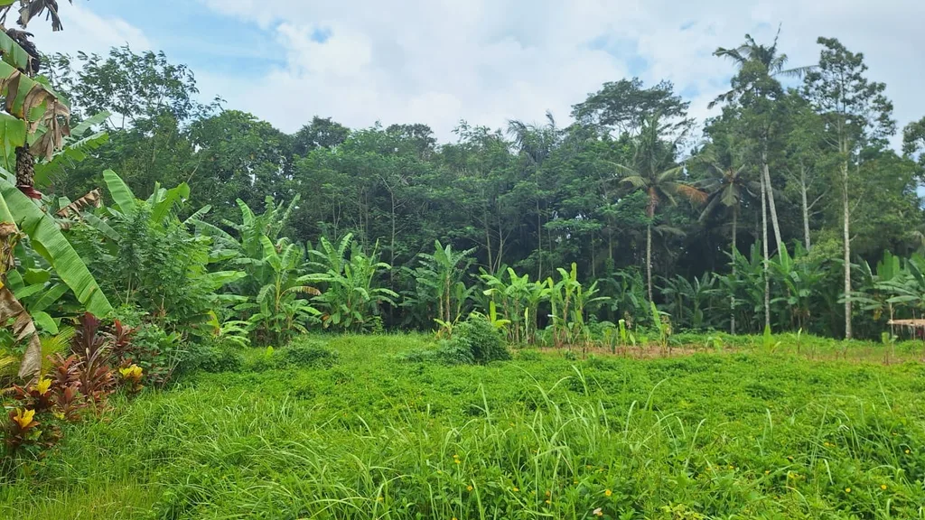 6 Are Freehold Riverside Land in Payangan, Ubud for Sale — photo 3