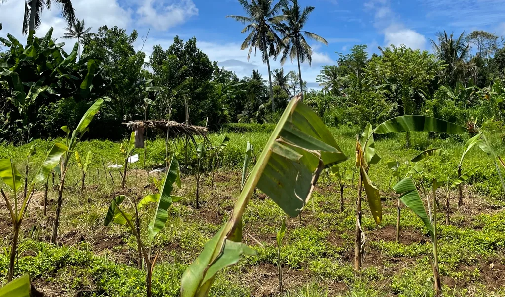 6 Are Freehold Riverside Land in Payangan, Ubud for Sale — photo 5