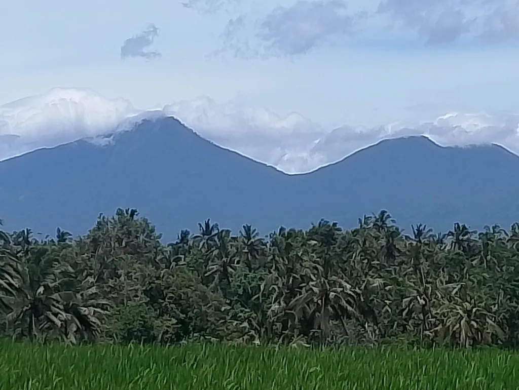 Prime Rice-fields View Land in Keliki For Lease — photo 3