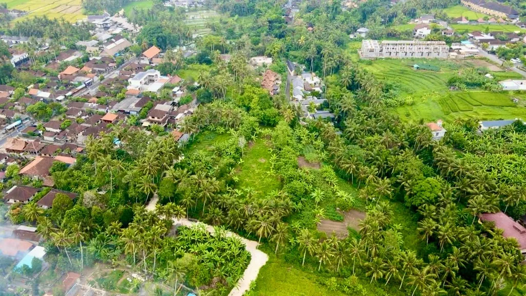 Freehold land in Ubud for Sale — photo 2