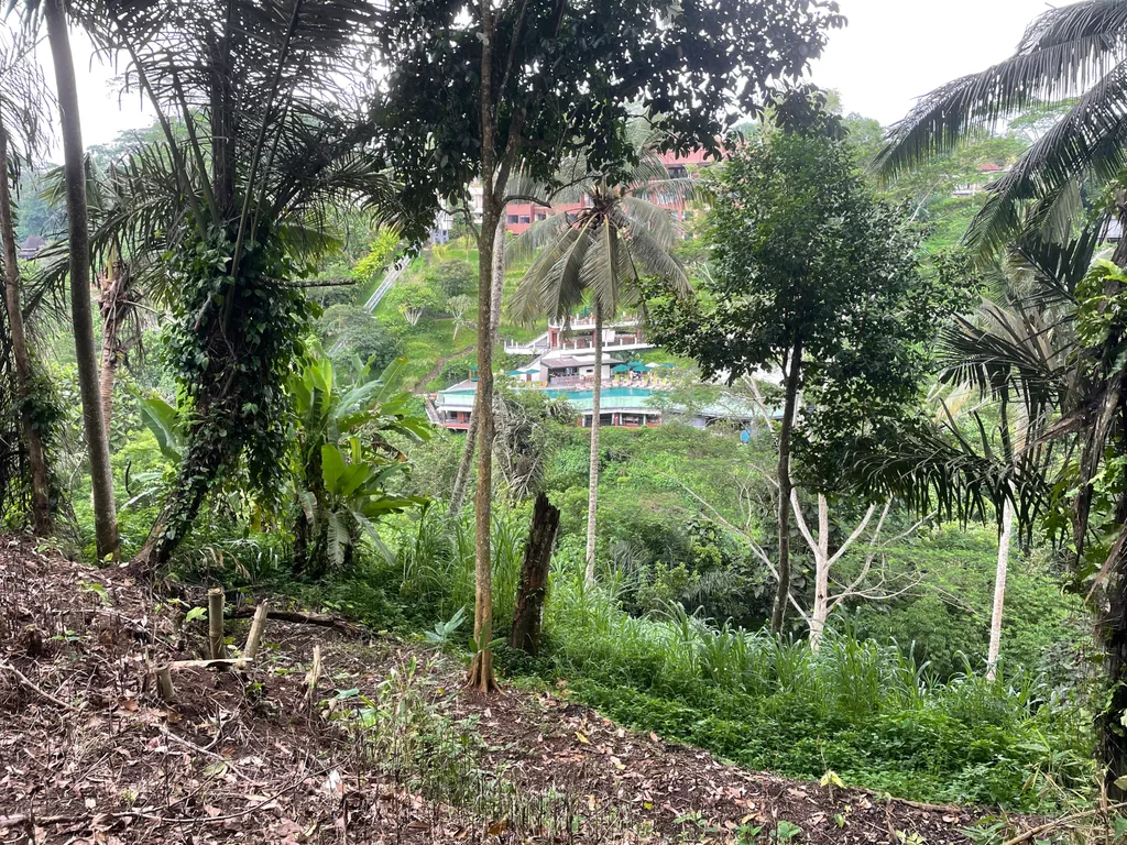 Loss-River 49 Are Land in Ubud For Sale — photo 5