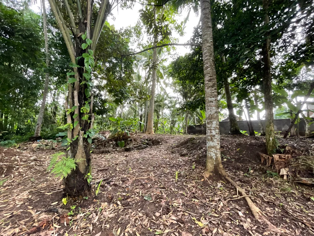 Loss-River 49 Are Land in Ubud For Sale — photo 4