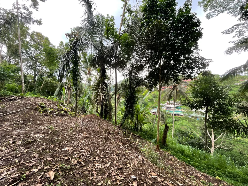 Loss-River 49 Are Land in Ubud For Sale