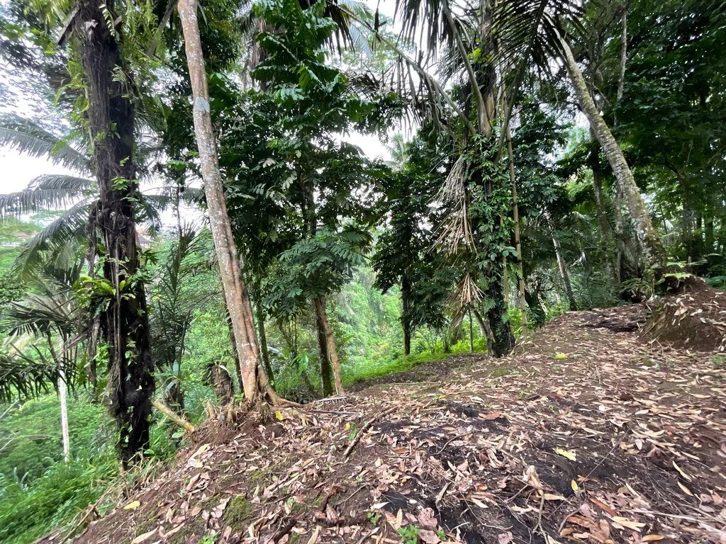 Loss-River 49 Are Land in Ubud For Sale — photo 2