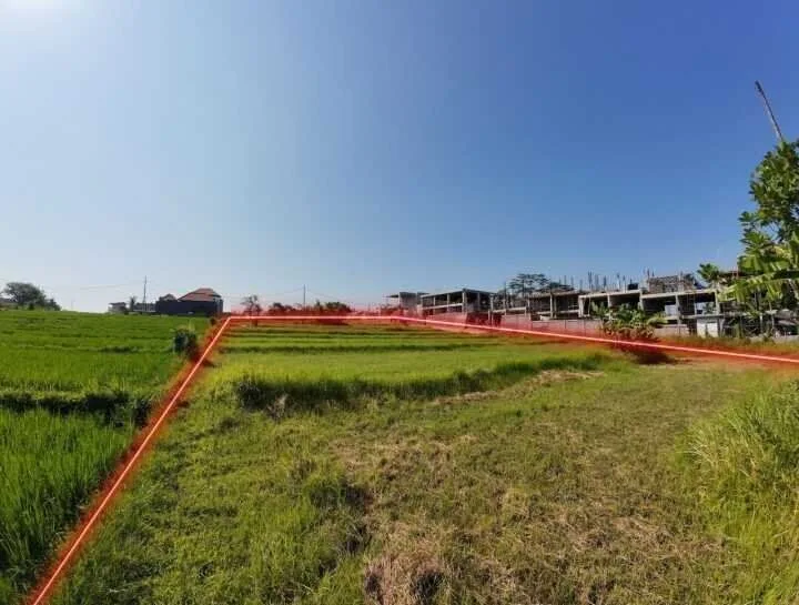 Pink Zone Leasehold Land in Nyanyi for Sale — photo 4