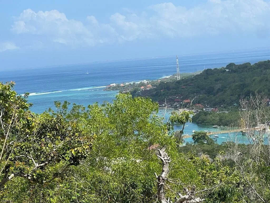 Tourism-Zoned Land with Ocean Views in Ceningan Island for Sale