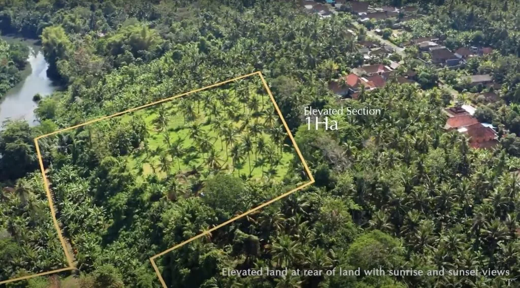 Prime Freehold Beachfront Land in Medewi for Sale — photo 4