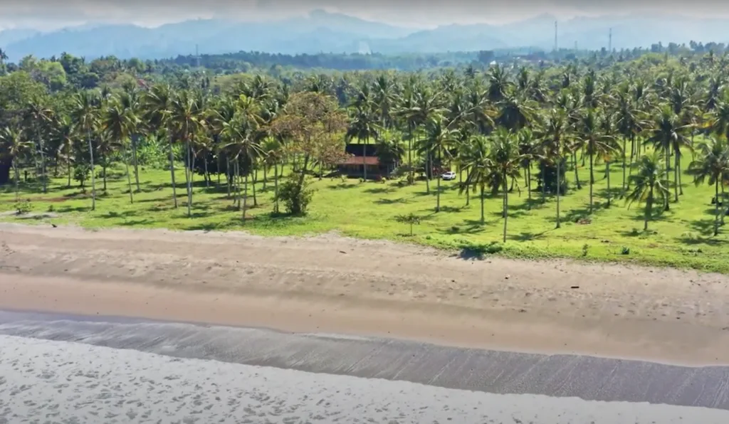 Prime Freehold Beachfront Land in Medewi for Sale — photo 3