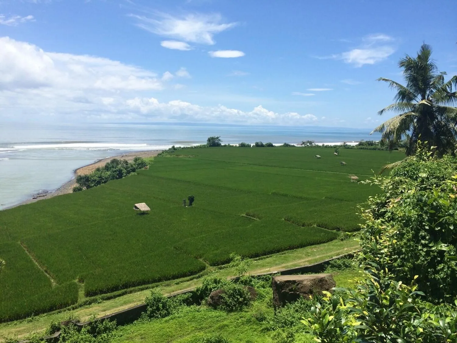 Cliff-Top Freehold Land in Medewi with Surf & River Views for Sale
