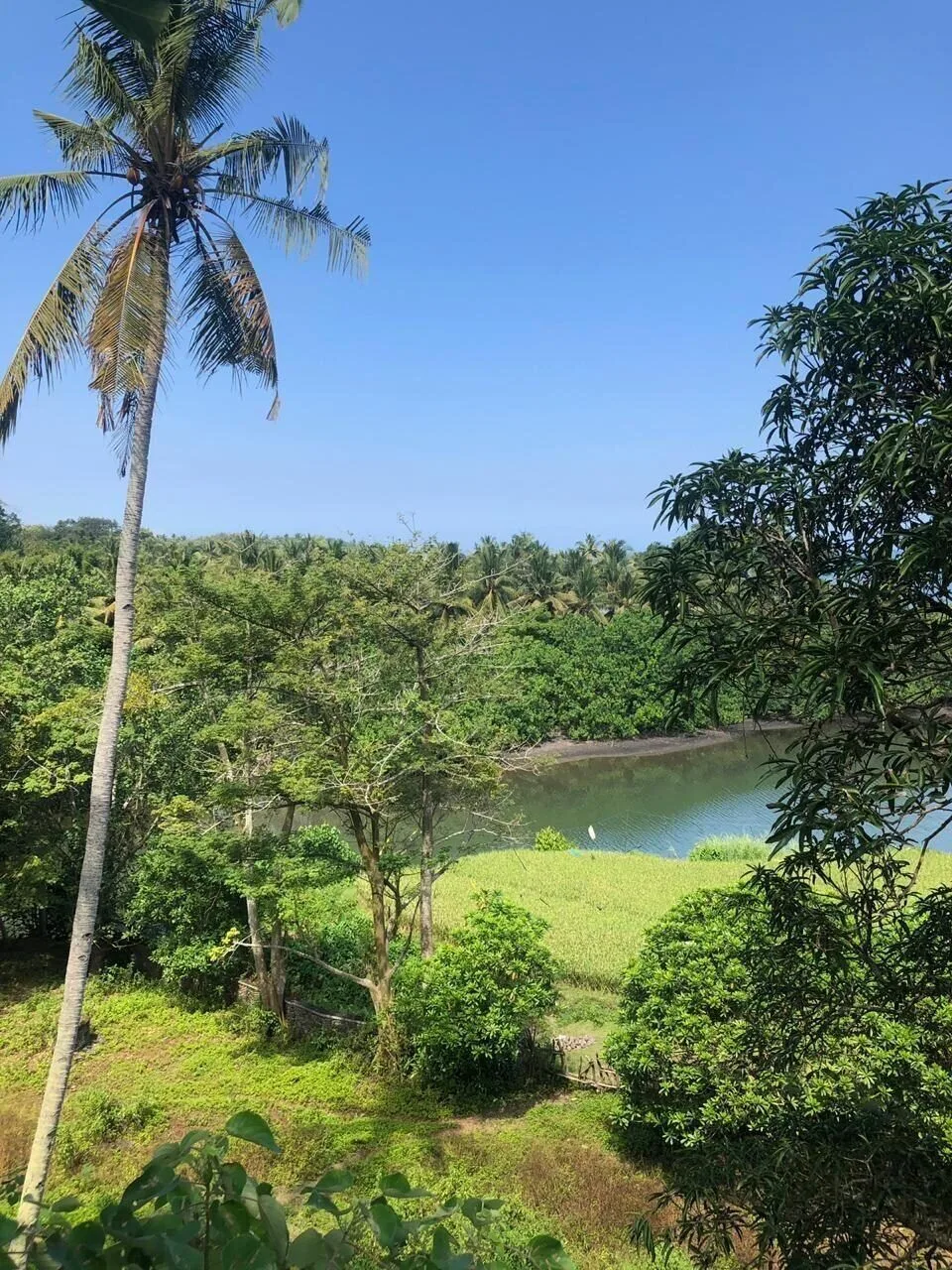 Cliff-Top Freehold Land in Medewi with Surf & River Views for Sale — photo 3