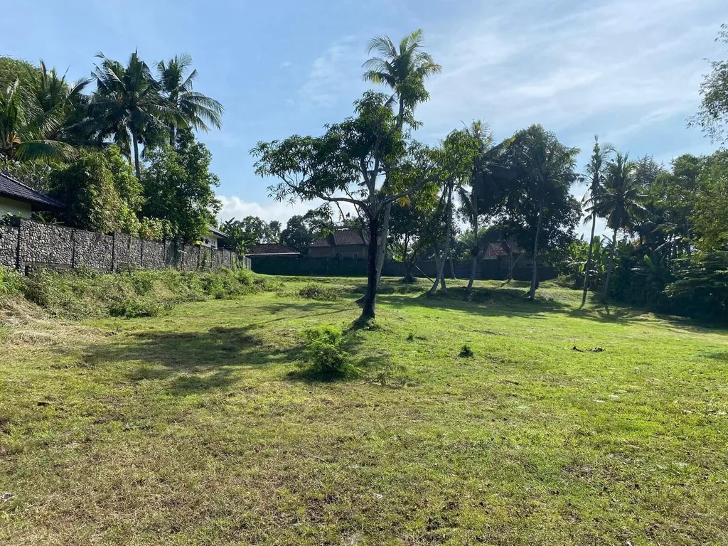 Cliff-Top Freehold Land in Medewi with Surf & River Views for Sale — photo 5
