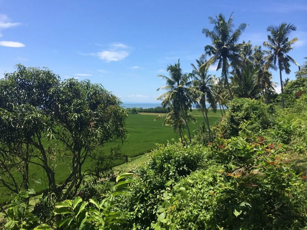 Cliff-Top Freehold Land in Medewi with Surf & River Views for Sale — photo 4