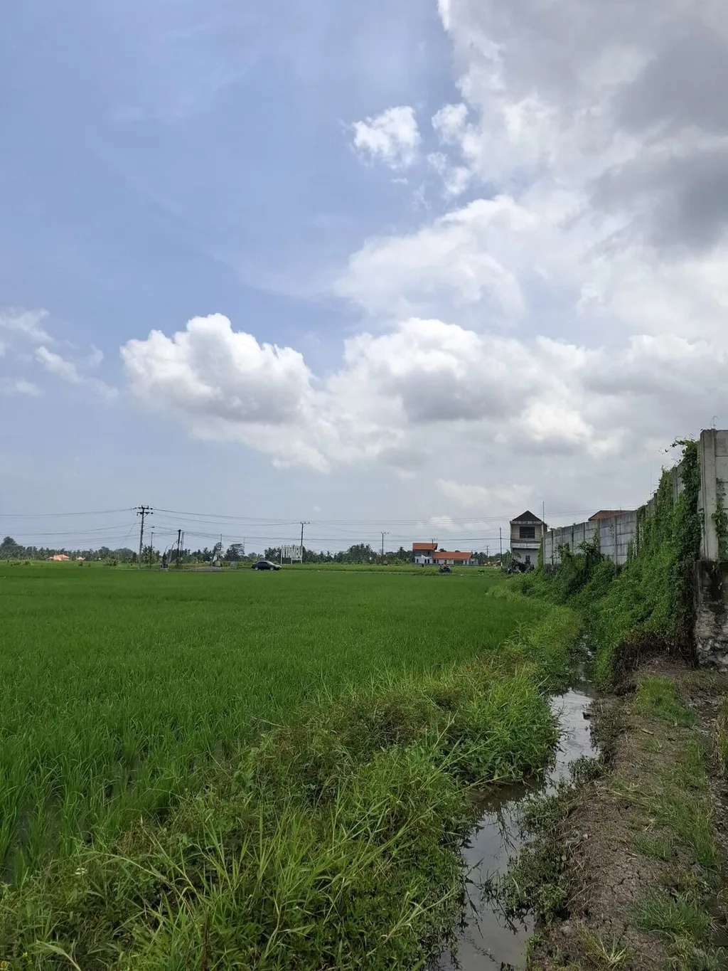 Serene Freehold Land Plots for Sale in Kaba-Kaba — photo 2