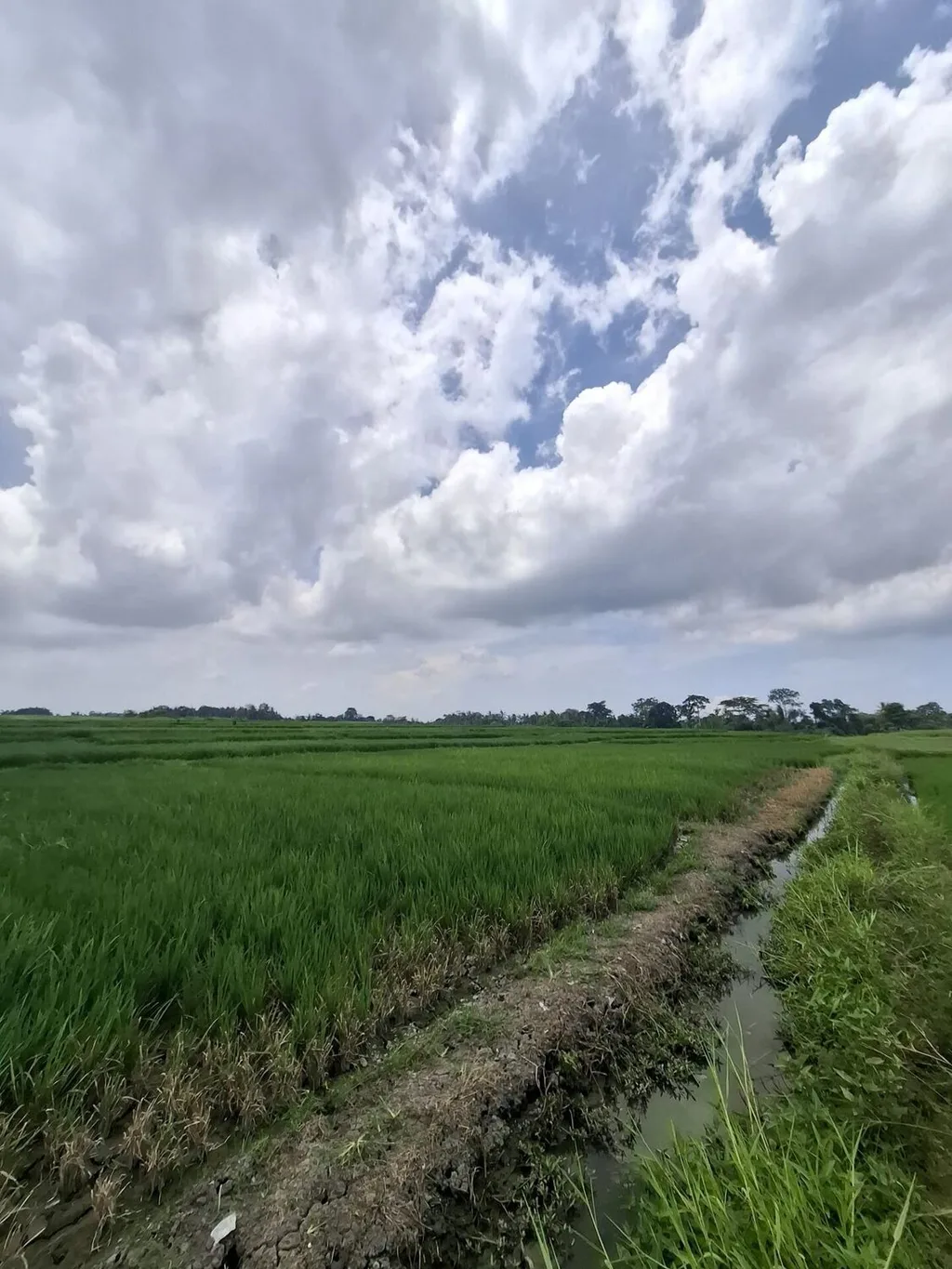 Serene Freehold Land Plots for Sale in Kaba-Kaba — photo 4