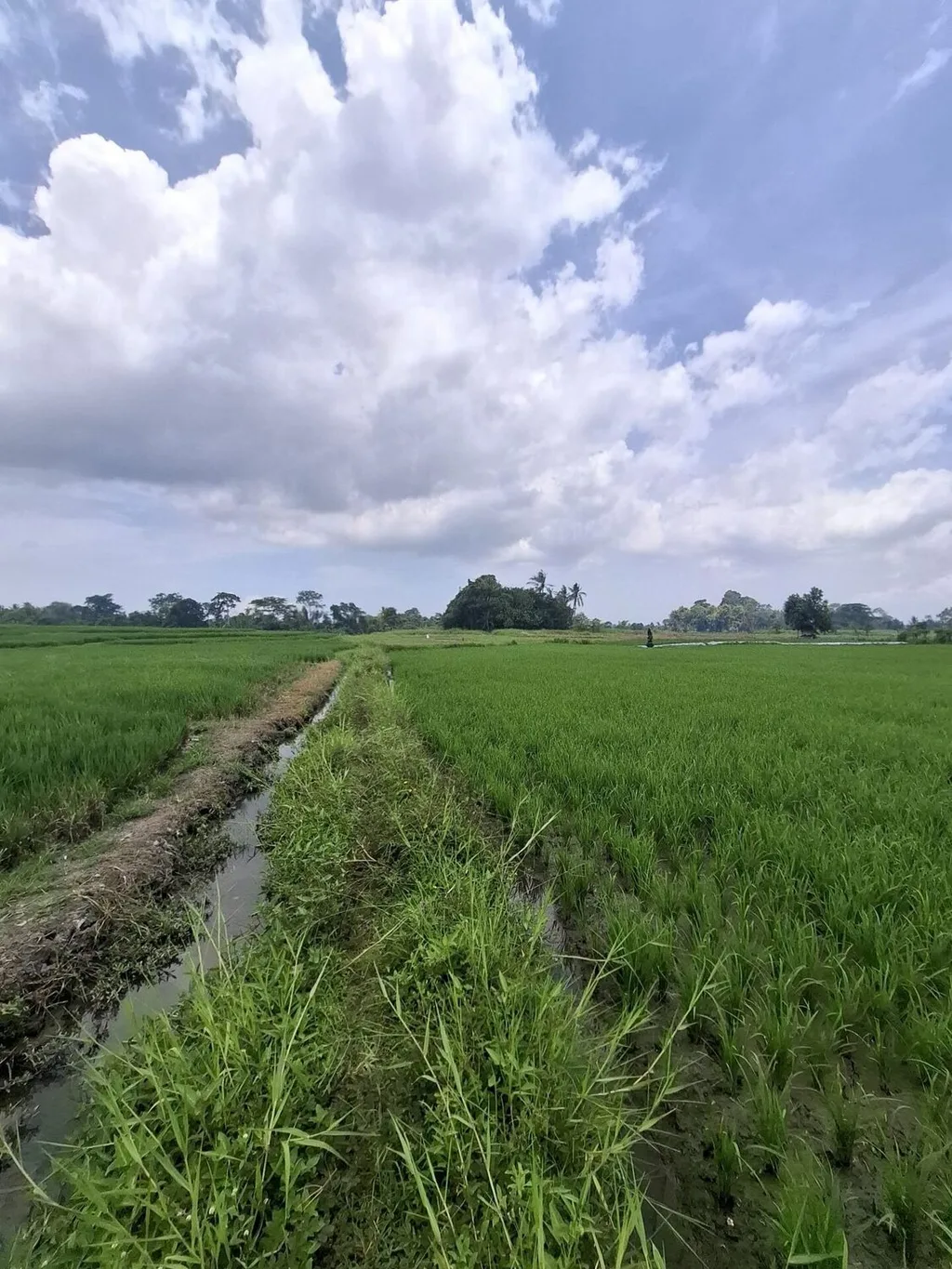 Serene Freehold Land Plots for Sale in Kaba-Kaba — photo 3