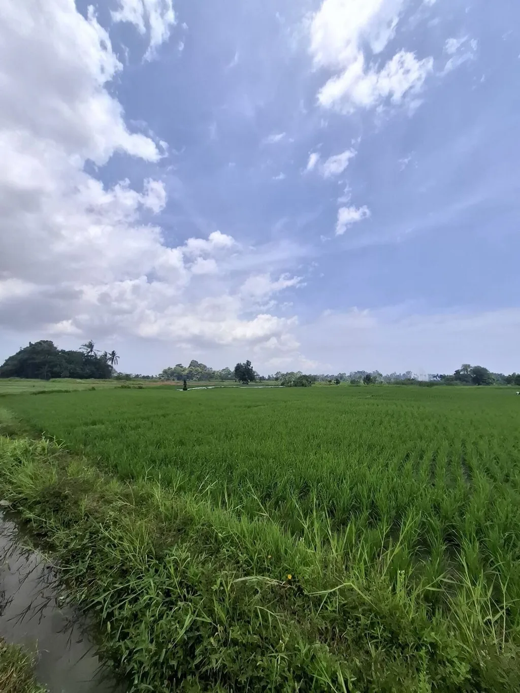 Serene Freehold Land Plots for Sale in Kaba-Kaba — photo 5