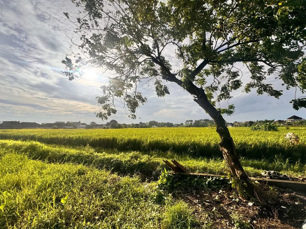 Peaceful Freehold Land Plots for Sale in Kaba-Kaba — photo 3