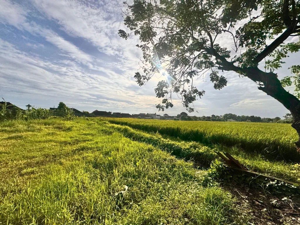 Peaceful Freehold Land Plots for Sale in Kaba-Kaba — photo 2