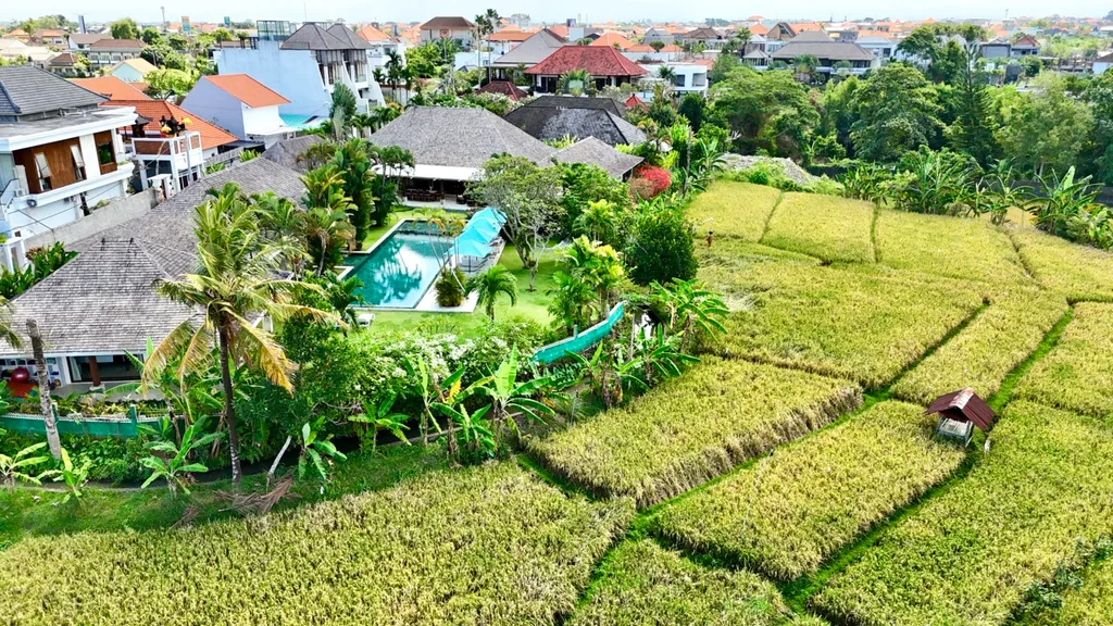 Luxury Villa for Sale with Expansive Rice Field Views for Sale — photo 3