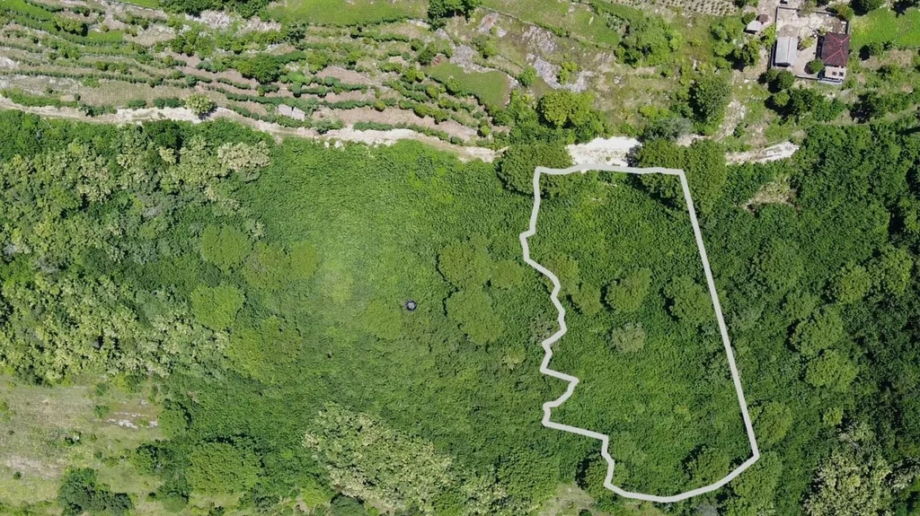 Freehold Land for Sale in Batununggul, Nusa Penida — photo 4