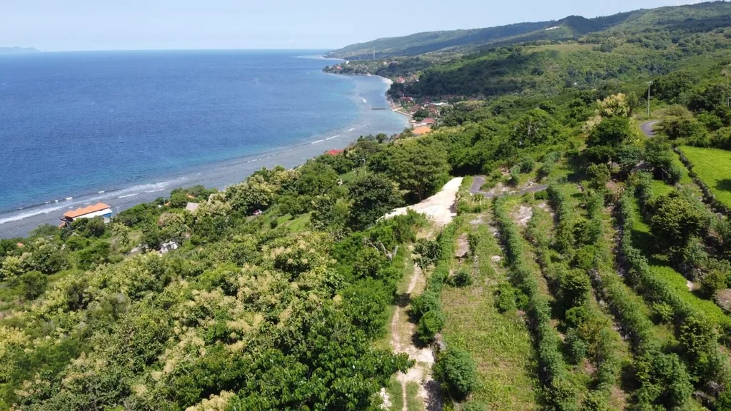Freehold Land for Sale in Batununggul, Nusa Penida