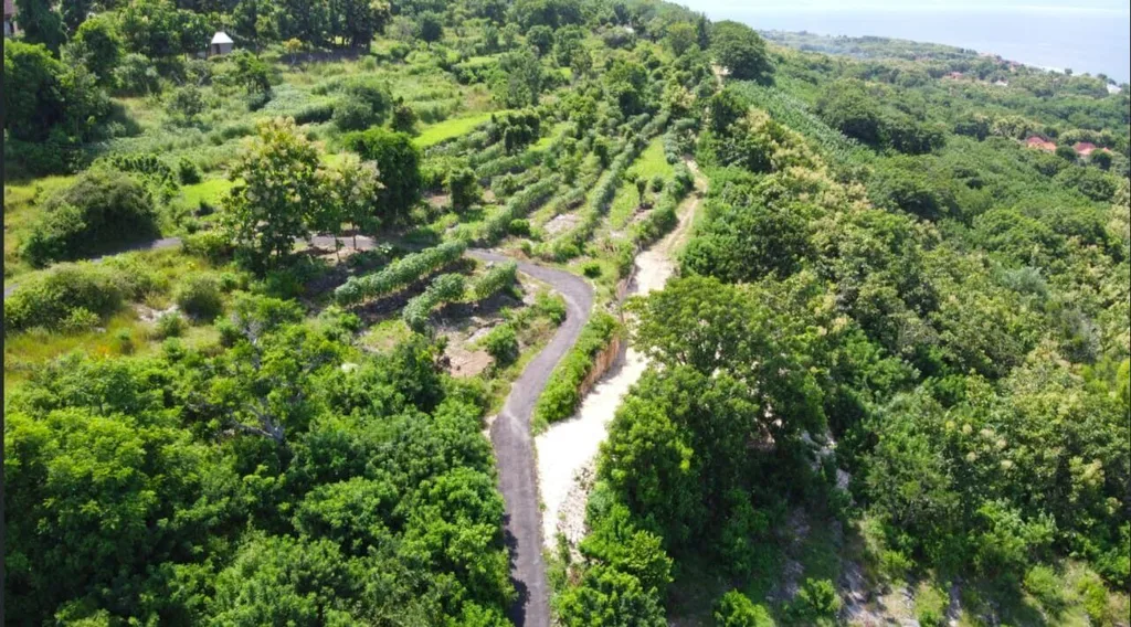Freehold Land for Sale in Batununggul, Nusa Penida — photo 5