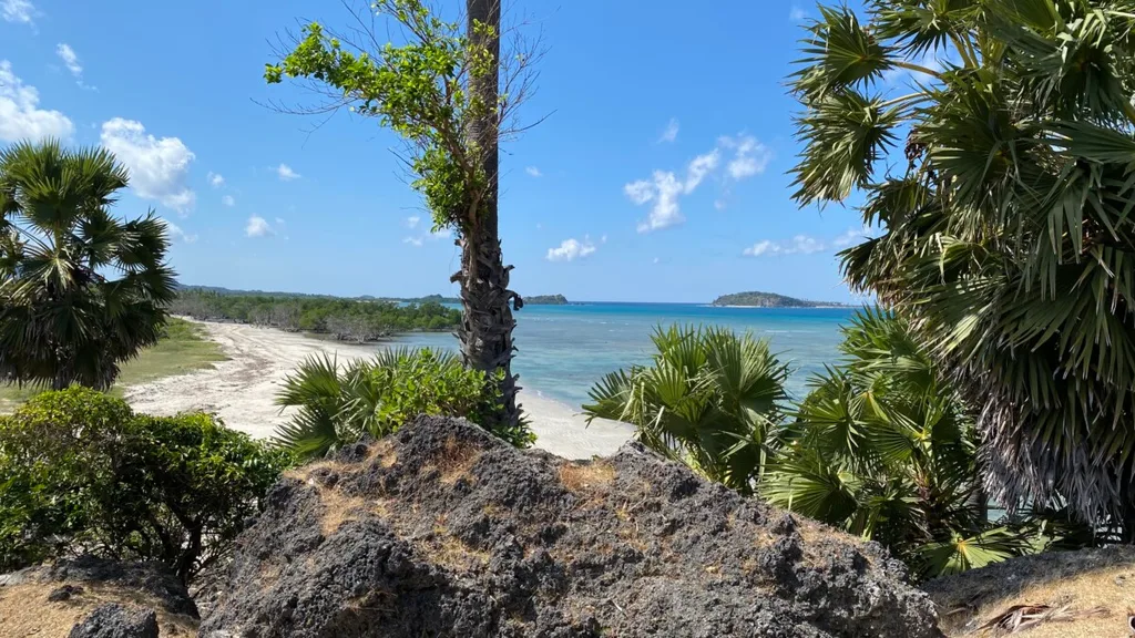 Beachfront Freehold Land in Rote Island for Sale — photo 5