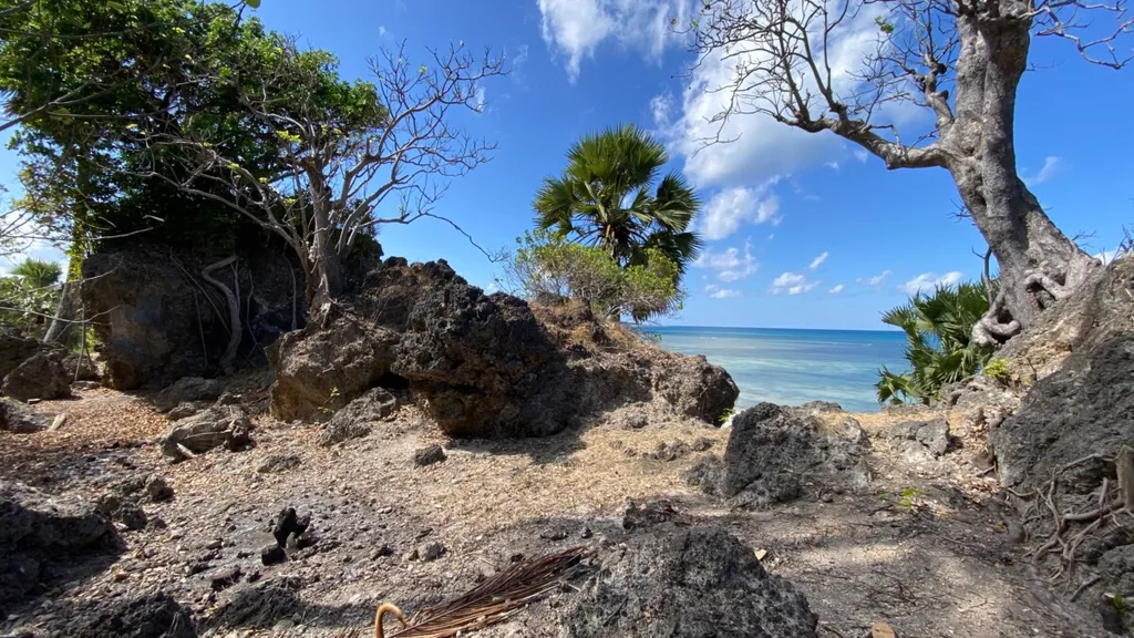 Beachfront Freehold Land in Rote Island for Sale — photo 3