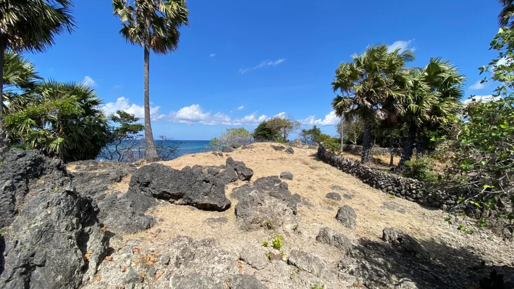 Beachfront Freehold Land in Rote Island for Sale — photo 4