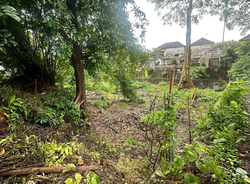 Pink Zone Land for Lease in Umalas — photo 2