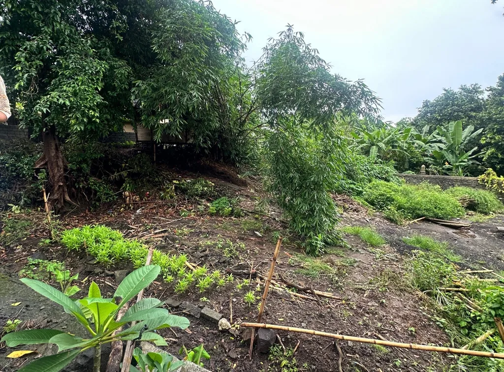Pink Zone Land for Lease in Umalas — photo 5