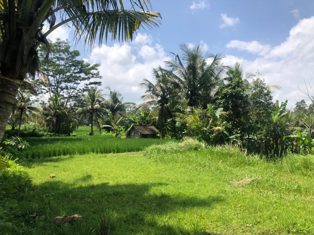 Land in Petulu Ubud for Sale — photo 2