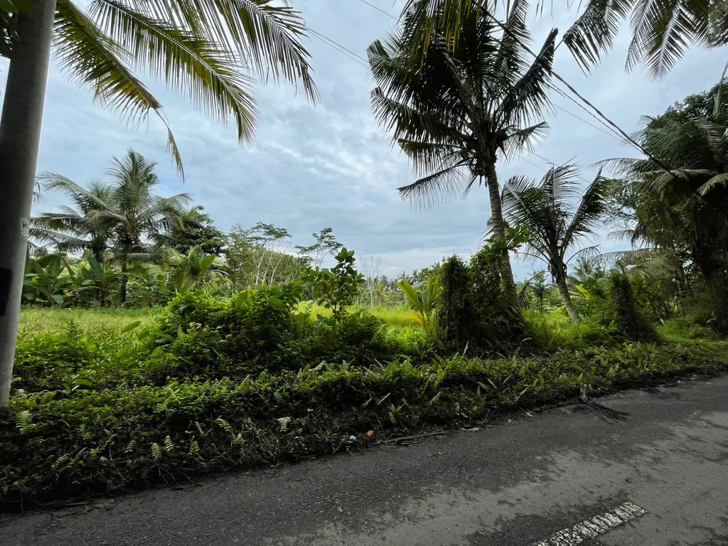 Land in Petulu Ubud for Sale — photo 5