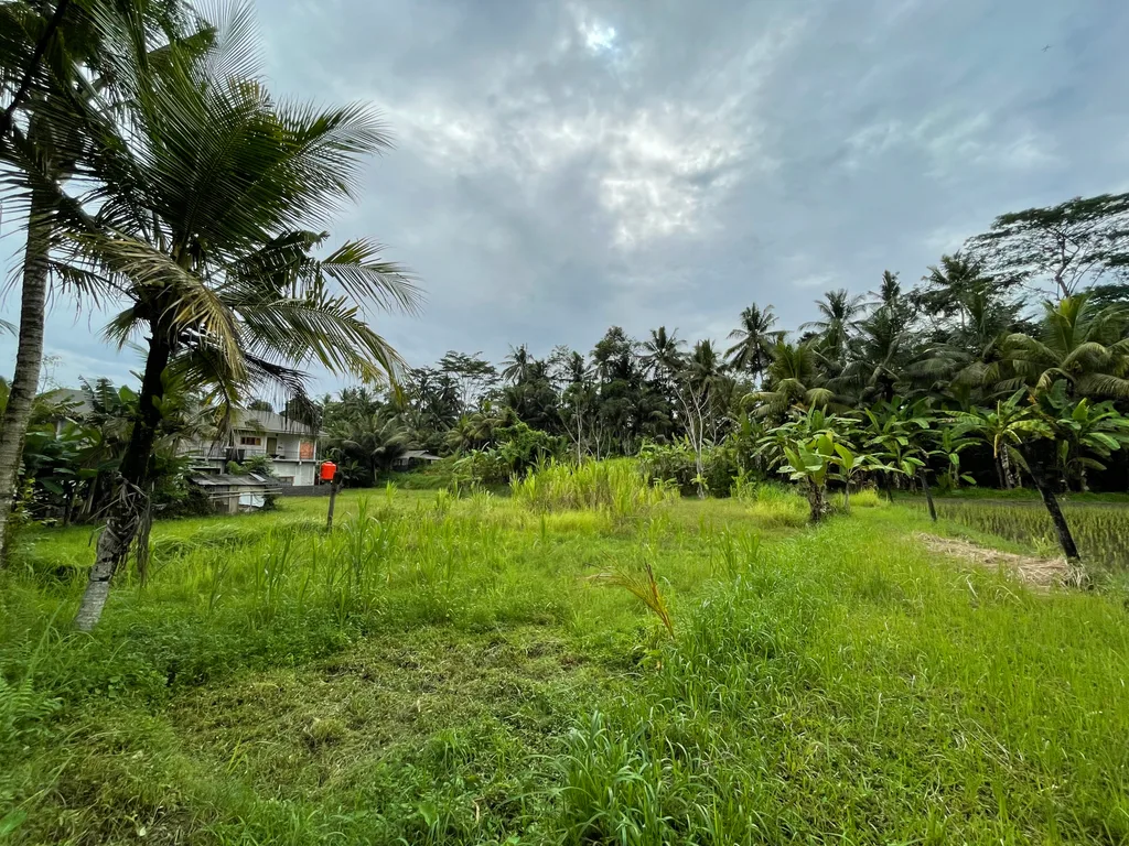 Land in Petulu Ubud for Sale — photo 4