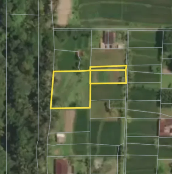 Land in Petulu Ubud for Sale