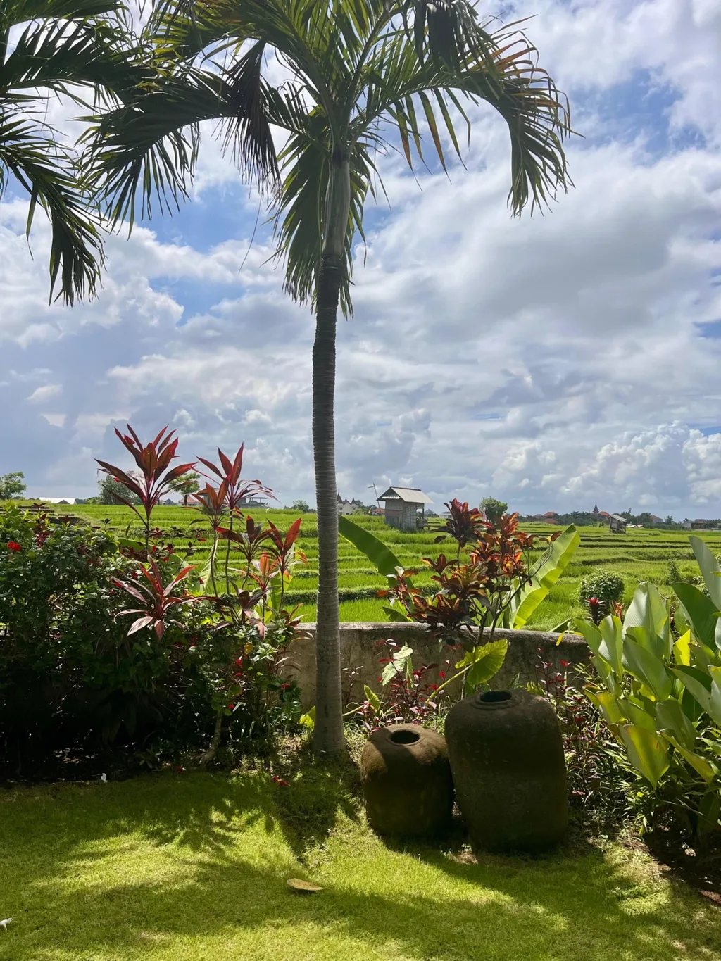 Rice field View Villa in Babakan for Sale — photo 4