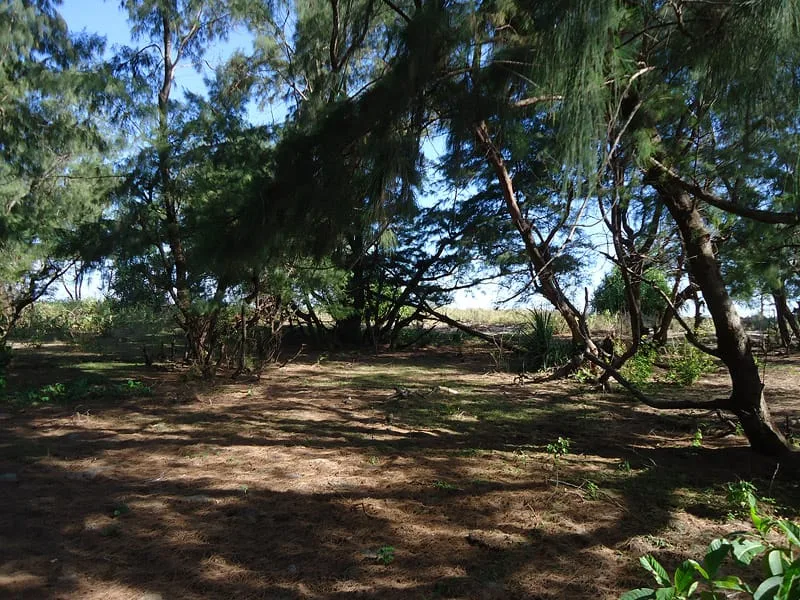 1 Hectare of Land for Sale in East Sumba — photo 4