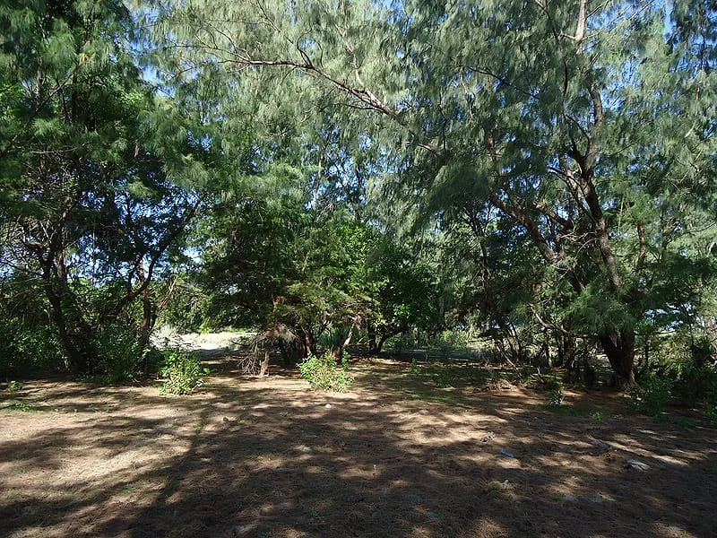 1 Hectare of Land for Sale in East Sumba — photo 3