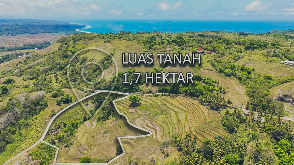 Freehold Land for Sale in Wanokaka, Sumba — photo 5