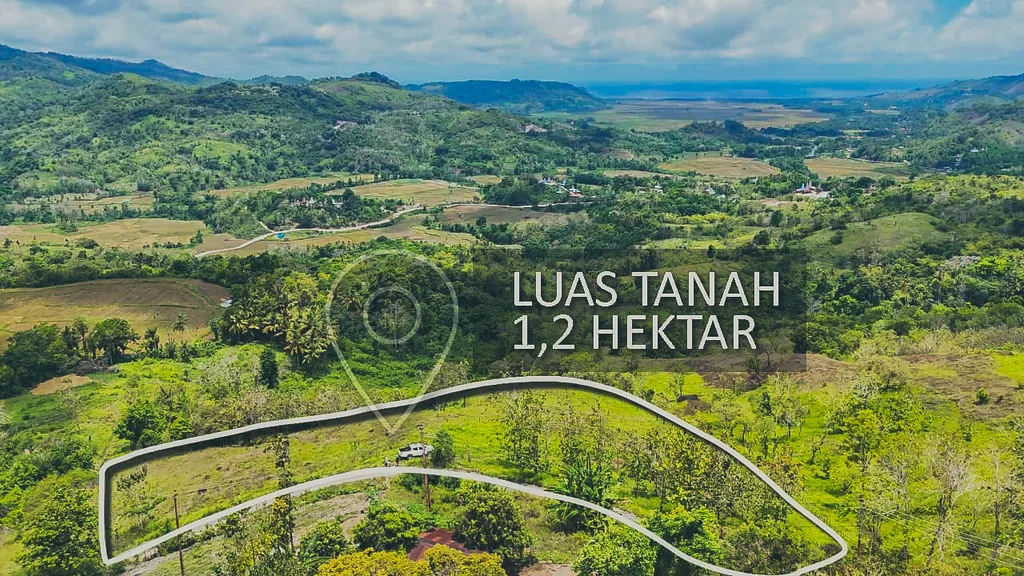 Freehold Land for Sale in Wanokaka, Sumba — photo 4