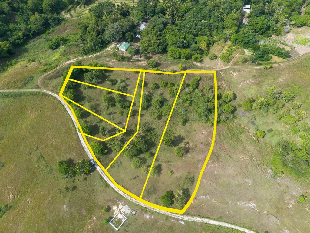 Freehold Land for Sale in Sumba — photo 2