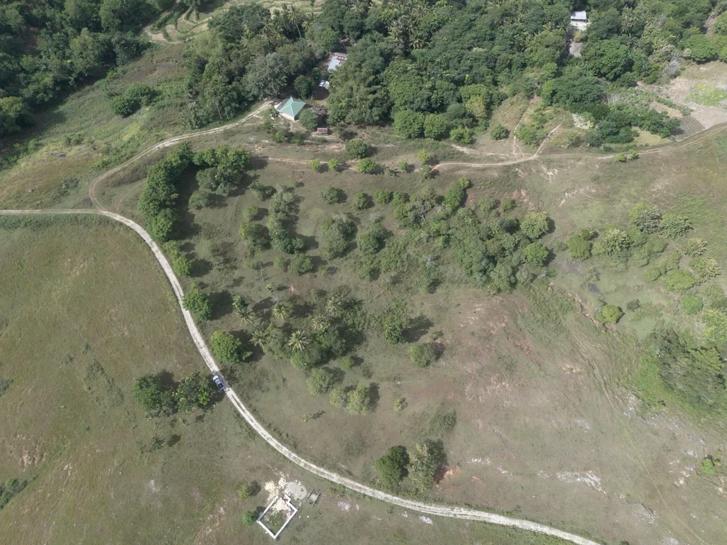 Freehold Land for Sale in Sumba — photo 3