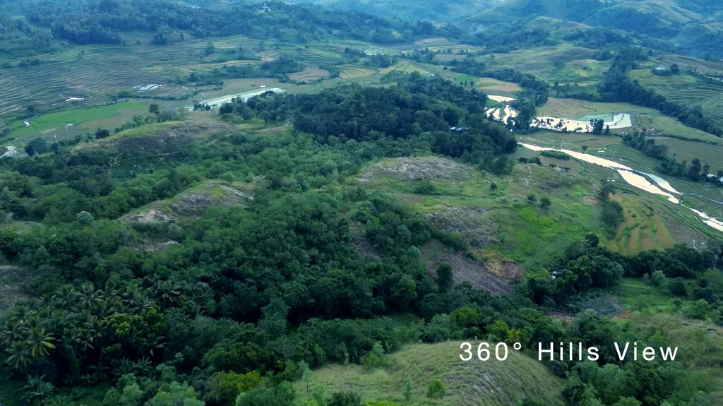 Prime 6 Hectare Hilltop Land with Sunset View in Lamboya, West Sumba — photo 5