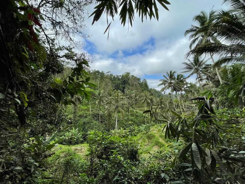 55 Are of Rare Riverside Land for Lease in Ubud