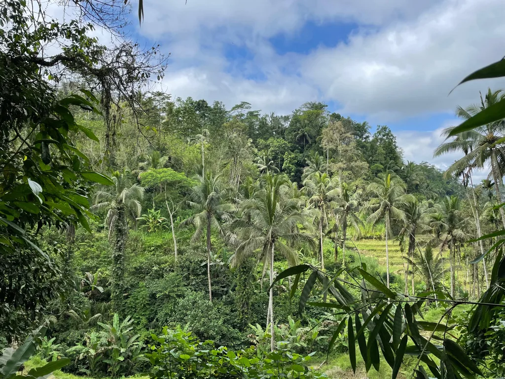 55 Are of Rare Riverside Land for Lease in Ubud — photo 2